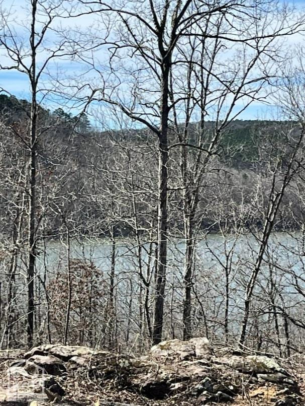 915 Canyon Rd, Higden, AR 72067 - photo 6