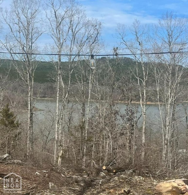 915 Canyon Rd, Higden, AR 72067 - photo 2