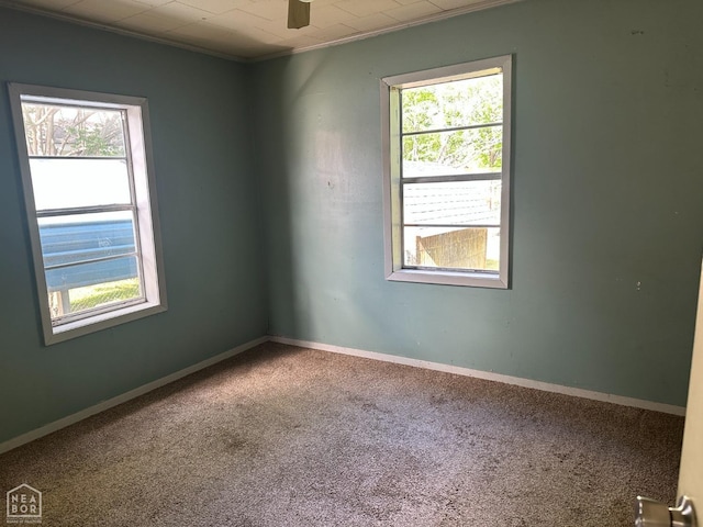 unfurnished room with crown molding, a ceiling fan, baseboards, and carpet