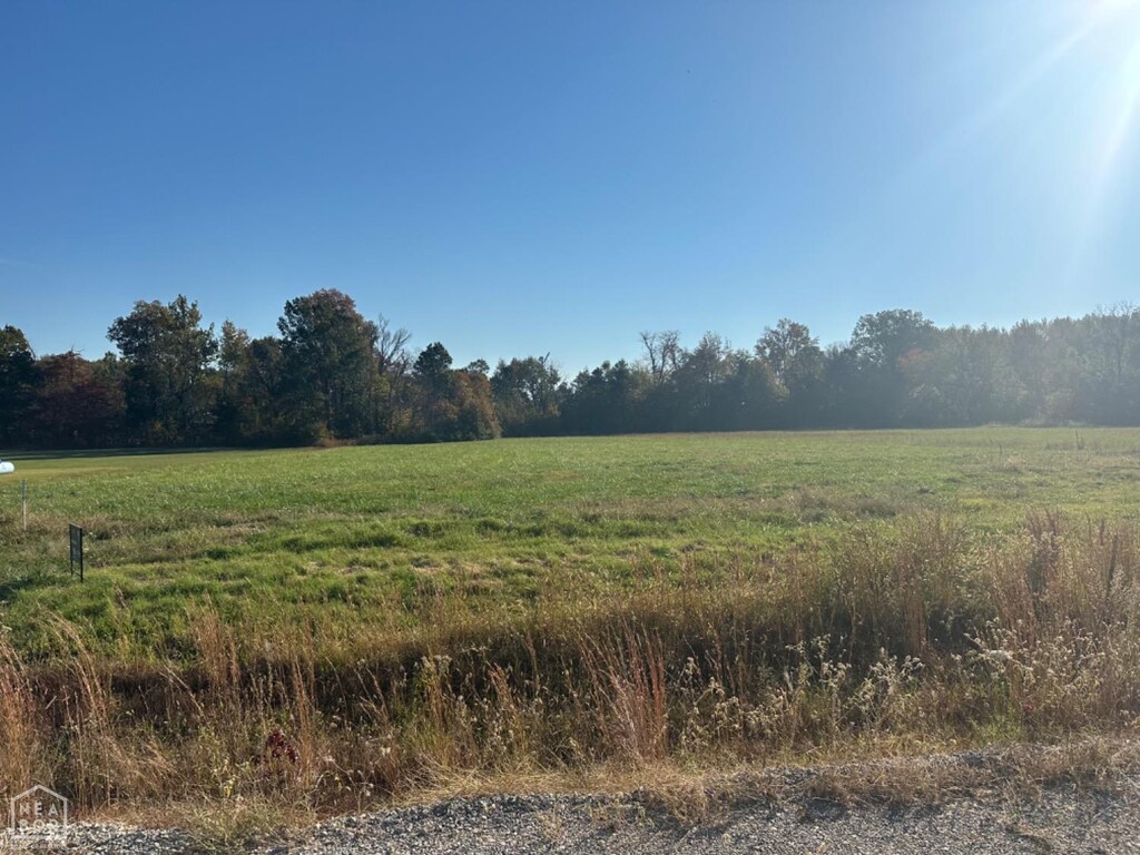 103 County Road 7127th Rd, Jonesboro, AR 72405 - photo 3