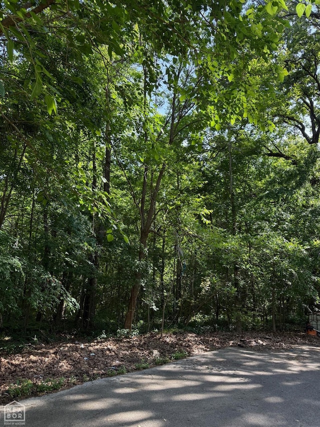 13 Darlene, Jonesboro, AR 72405 - photo 2