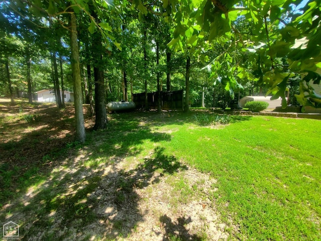 2590 W N St, Piggott, AR 72454 - view of yard