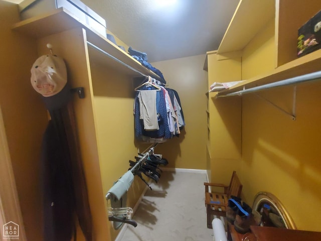 2590 W N St, Piggott, AR 72454 - walk in closet with carpet