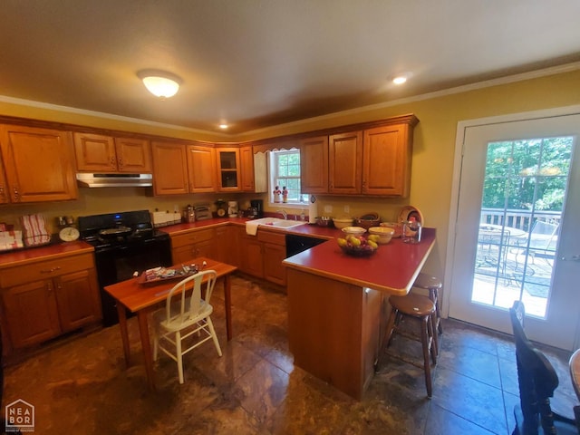 2590 W N St, Piggott, AR 72454 - kitchen with under cabinet range hood, black range with electric cooktop, a peninsula, brown cabinetry, and crown molding