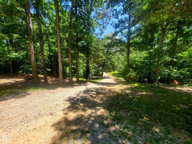 2590 W N St, Piggott, AR 72454 - view of dirt / gravel road