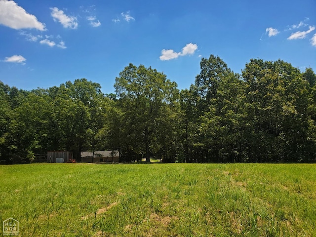 2590 W N St, Piggott, AR 72454 - view of yard featuring a wooded view