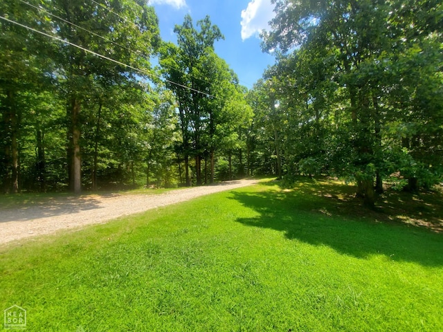 2590 W N St, Piggott, AR 72454 - view of green lawn