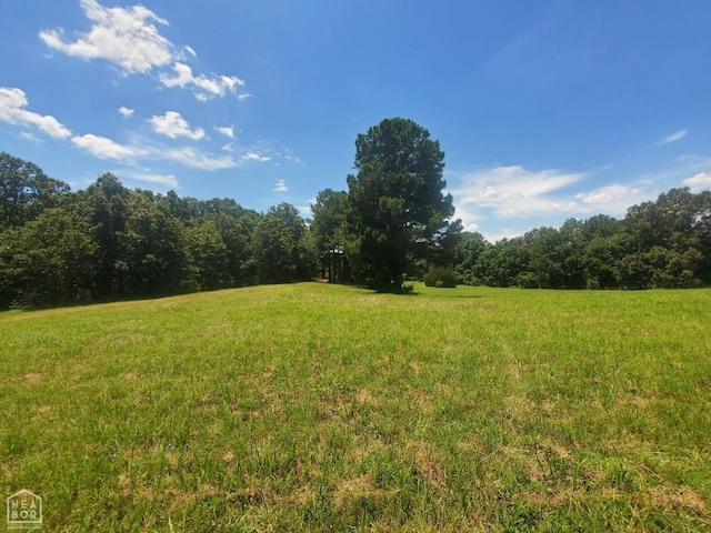 2590 W N St, Piggott, AR 72454 - view of grassy yard with a forest view