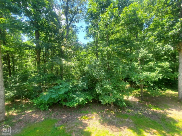 2590 W N St, Piggott, AR 72454 - view of undeveloped land