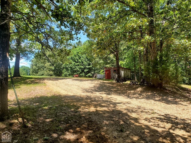 2590 W N St, Piggott, AR 72454 - view of yard featuring a wooded view and a storage unit
