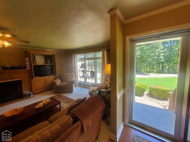 2590 W N St, Piggott, AR 72454 - living room with ornamental molding, ceiling fan, a fireplace with raised hearth, and a textured ceiling