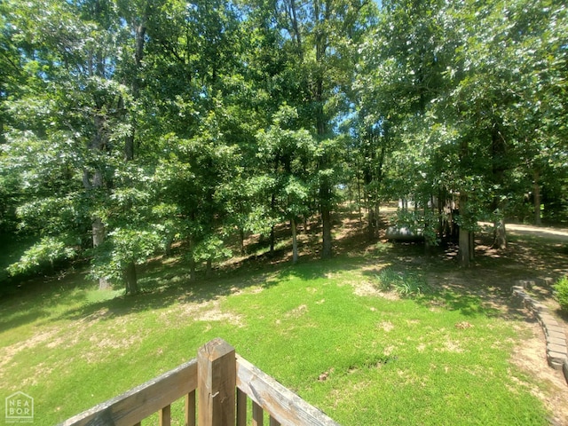 2590 W N St, Piggott, AR 72454 - view of green lawn
