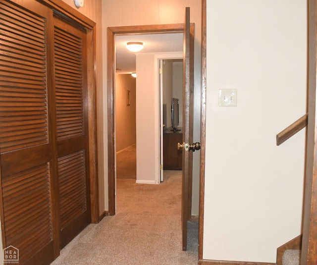 corridor featuring wooden walls and carpet flooring
