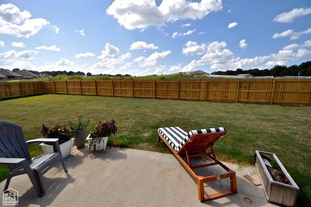 view of yard featuring a patio area and a fenced backyard