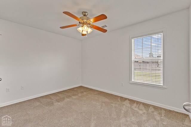 2101 Gabrielle St, Paragould, AR 72450 - photo 23