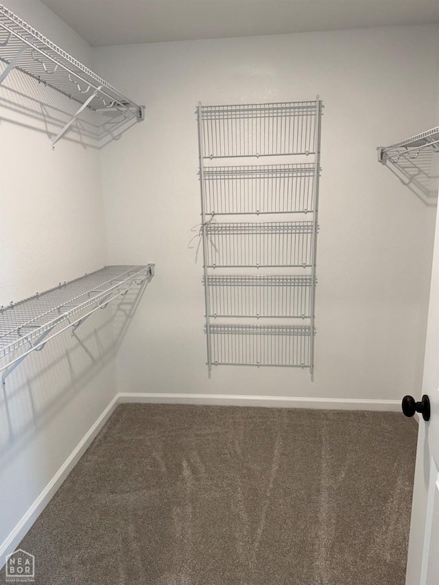 5633 Morgan Dr, Jonesboro, AR 72401 - spacious closet featuring carpet flooring