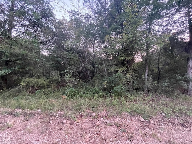 1 Canary Ln, Lead Hill, AR 72630 - photo 2