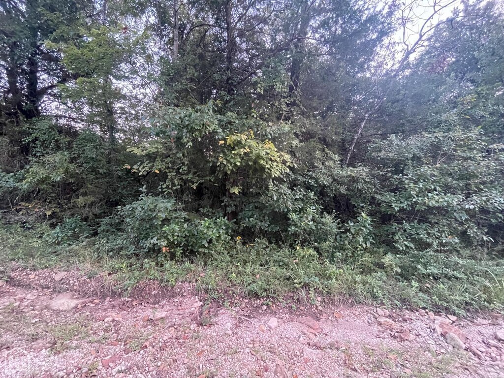1 Canary Ln, Lead Hill, AR 72630 - photo 1