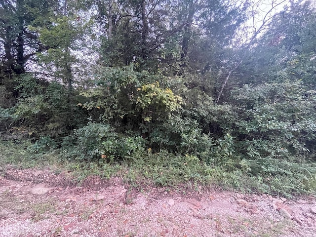 1 Canary Ln, Lead Hill, AR 72630 - photo 1