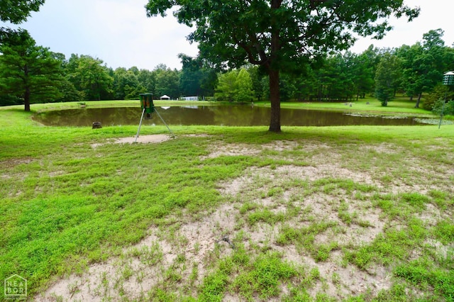 1463 Browns Chapel Rd, Viola, AR 72583 - photo 80