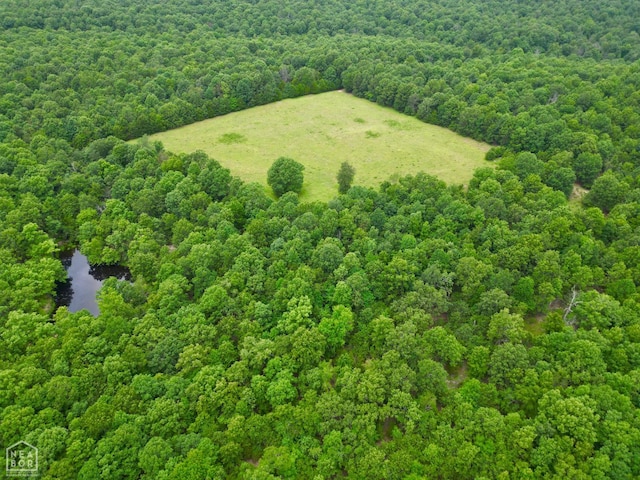 1463 Browns Chapel Rd, Viola, AR 72583 - photo 16