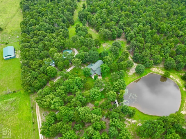 1463 Browns Chapel Rd, Viola, AR 72583 - photo 11