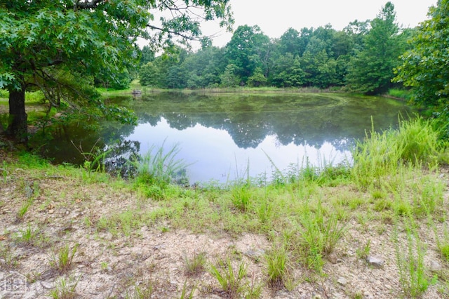 1463 Browns Chapel Rd, Viola, AR 72583 - photo 86