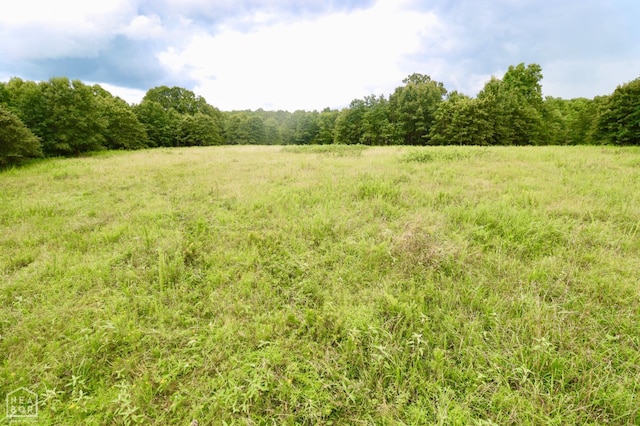 1463 Browns Chapel Rd, Viola, AR 72583 - photo 83