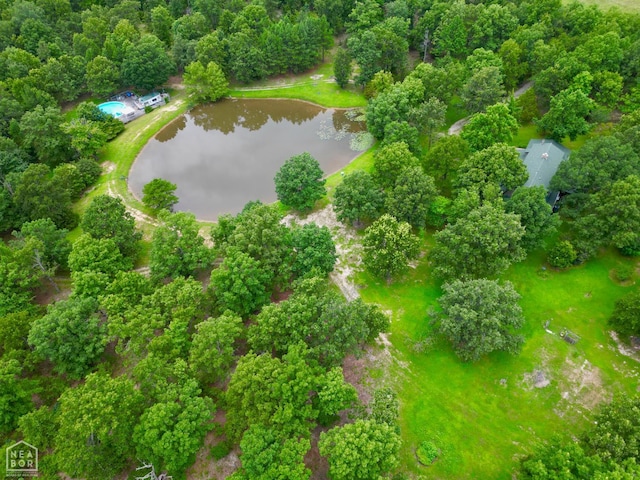 1463 Browns Chapel Rd, Viola, AR 72583 - photo 6