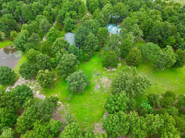 1463 Browns Chapel Rd, Viola, AR 72583 - photo 7