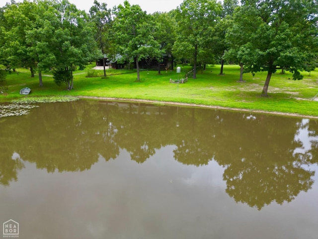 1463 Browns Chapel Rd, Viola, AR 72583 - photo 4
