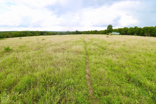 1463 Browns Chapel Rd, Viola, AR 72583 - photo 87