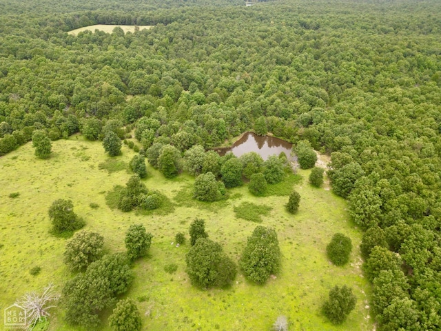 1463 Browns Chapel Rd, Viola, AR 72583 - photo 15