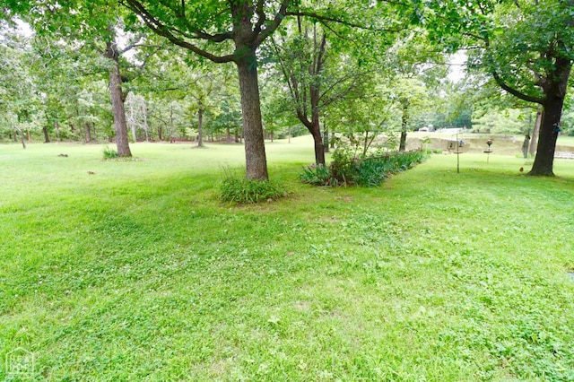 1463 Browns Chapel Rd, Viola, AR 72583 - photo 68