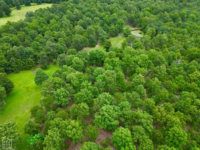 1463 Browns Chapel Rd, Viola, AR 72583 - photo 8