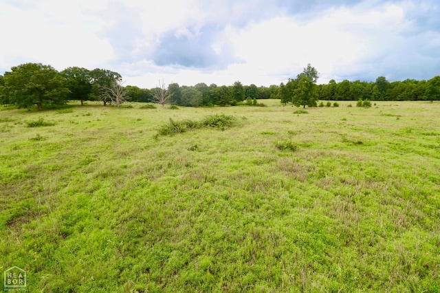 1463 Browns Chapel Rd, Viola, AR 72583 - photo 85