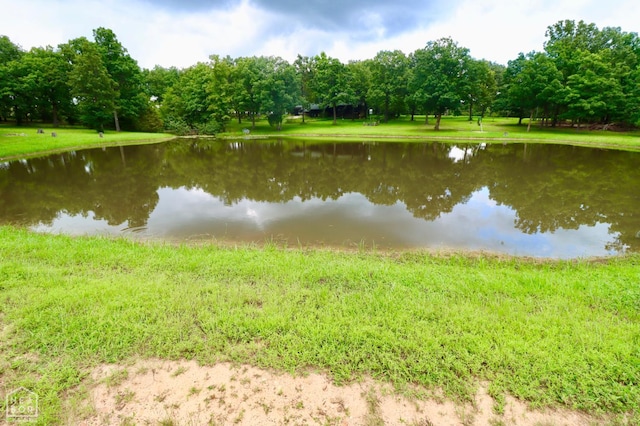 1463 Browns Chapel Rd, Viola, AR 72583 - photo 81