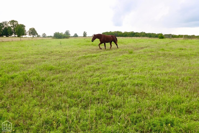 1463 Browns Chapel Rd, Viola, AR 72583 - photo 79