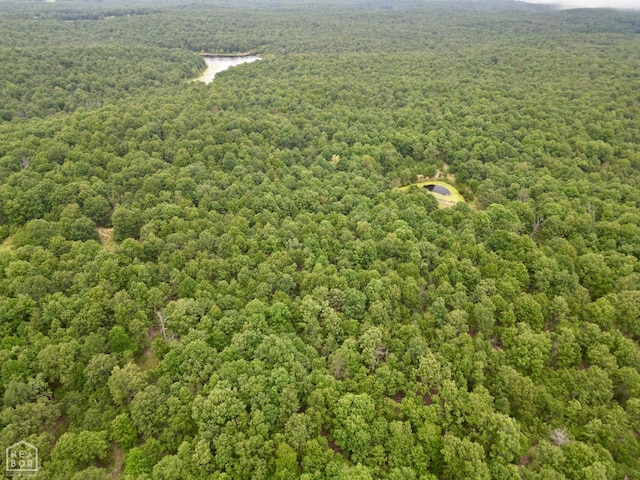 1463 Browns Chapel Rd, Viola, AR 72583 - photo 17