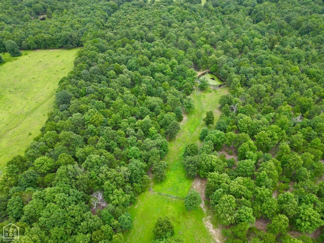 1463 Browns Chapel Rd, Viola, AR 72583 - photo 10