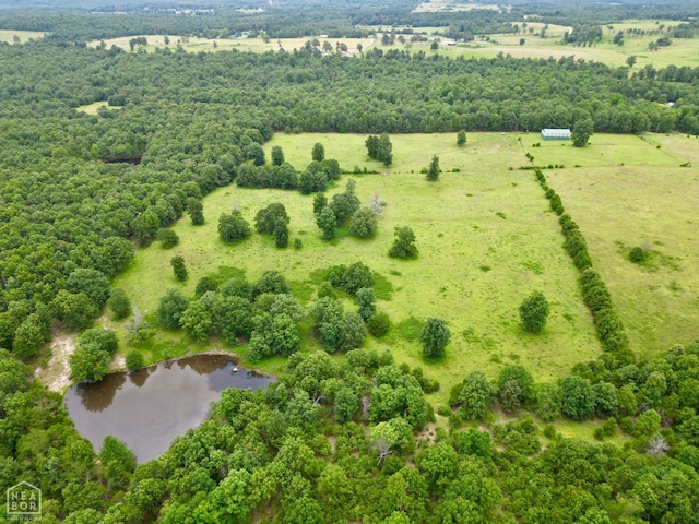 1463 Browns Chapel Rd, Viola, AR 72583 - photo 18