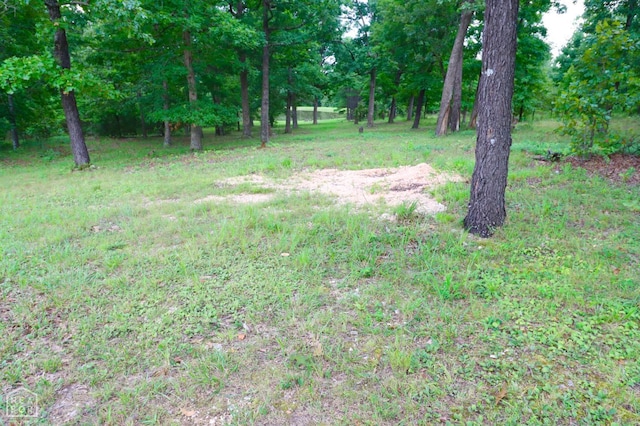 1463 Browns Chapel Rd, Viola, AR 72583 - photo 89