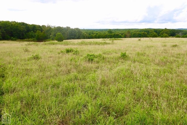 1463 Browns Chapel Rd, Viola, AR 72583 - photo 88
