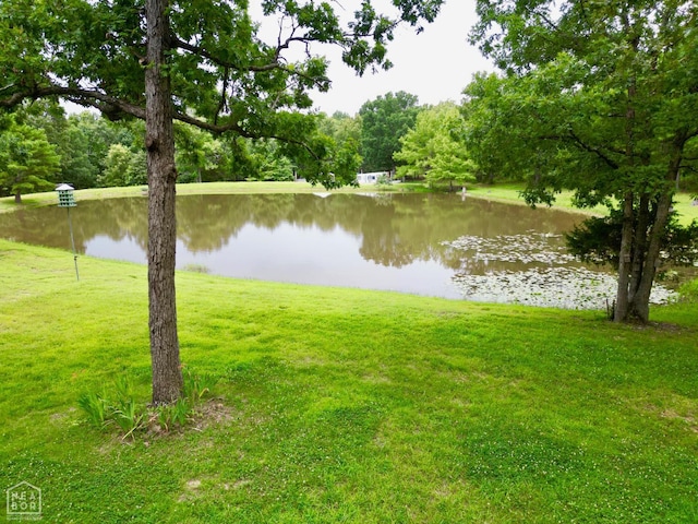 1463 Browns Chapel Rd, Viola, AR 72583 - photo 22