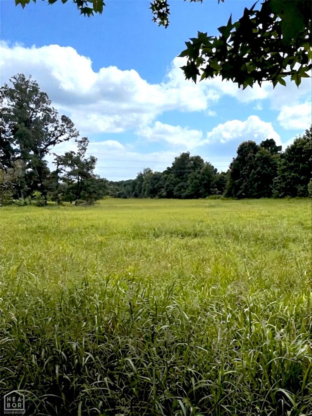 1 County Road 762, Jonesboro, AR 72405 - photo 1