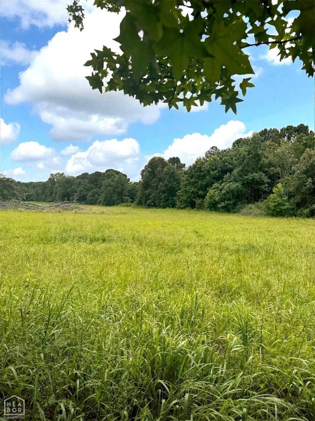1 County Road 762, Jonesboro, AR 72405 - photo 2