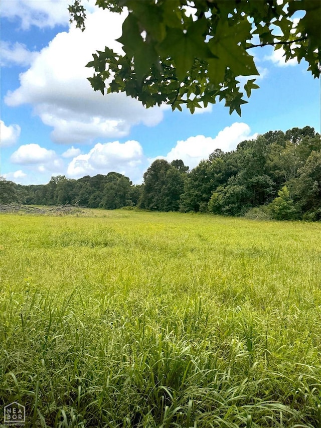 1 County Road 762, Jonesboro, AR 72405 - photo 2