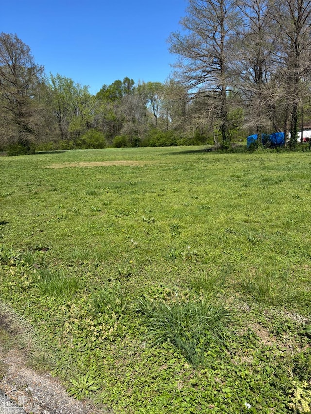1004 Rector Rd, Paragould, AR 72450 - view of yard