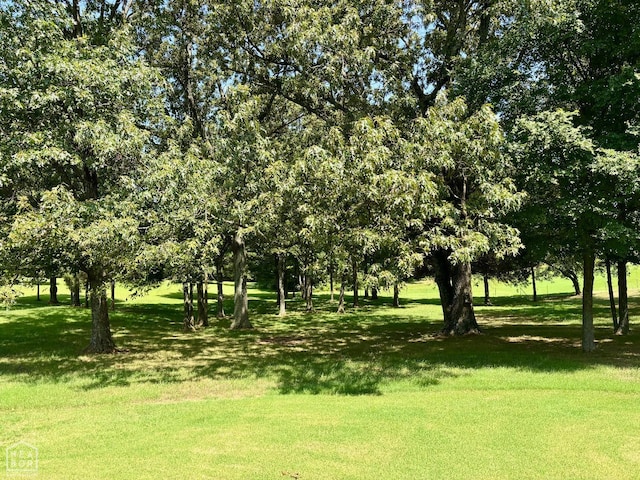 201 County Road 712, Jonesboro, AR 72405 - photo 31