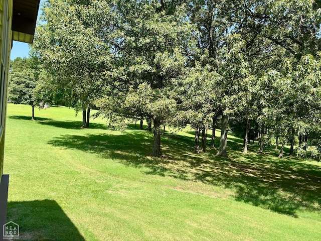 201 County Road 712, Jonesboro, AR 72405 - photo 33